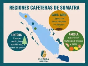 Regiones cafeteras en Sumatra
